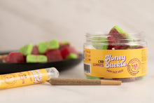 Load image into Gallery viewer, CBD Watermelon Gummies - 750mg