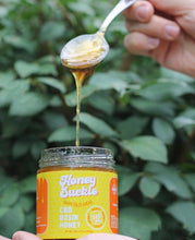 Load image into Gallery viewer, CBD Rosin Honey Jar - 500mg
